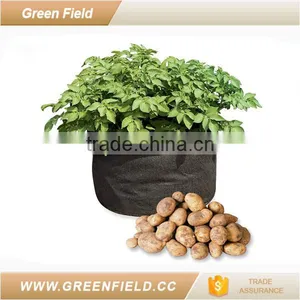 15 Gallon Fabric Pots Garden Decoration Grow Bags thumbnail-2
