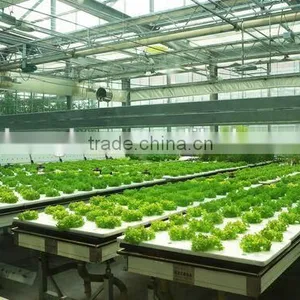 ECO-FRIENDLY Greening no Need Fertilizer Easy to Input Seed Dibble Holes Hydroponic Planting Sponge thumbnail-1
