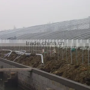 Galvanized Steel Pipe for Greenhouse/frame Steel Pipe thumbnail-3