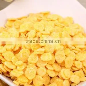 Breakfast Cereal Puff Extruder Processing Line thumbnail-1