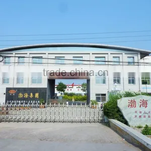 Cangzhou Bohai Safety & Special Tools Group Co., Ltd. company overview - view 2 thumbnail