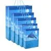 Nonwoven/Paper/Ecofriendly Gift Bag / Present Bag 6 thumbnail-1