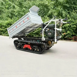 Factory Supply Mini Crawler Type Gas Engine Truck Dumper With CE thumbnail-2