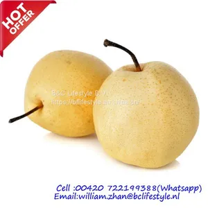 Nashi Pears thumbnail-1