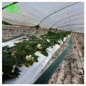 Best Sale UV Protection Greenhouse Black/White Plastic Mulch Film thumbnail-2