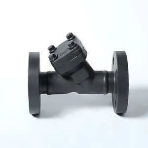 High Quality Forged Steel Filter Flange Y-shaped Filter thumbnail-4
