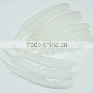Wholesale Artificial White Feather Turkey Feathers for Sale Quality Choice thumbnail-1