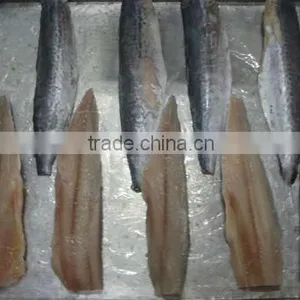 Spanish Mackerel New Filelts thumbnail-3
