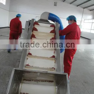 ORGANIC NINGXIA GOJI BERRY 220 thumbnail-3