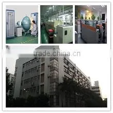 Shenzhen Simonlighter Electronic Co., Ltd. company overview - view 1 thumbnail
