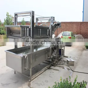 Palm Date Washing Sorting Machine thumbnail-3