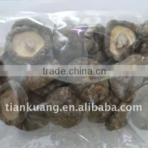 Mushroom Packaging in Bulk thumbnail-1