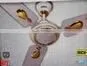 24inch Decorative White (M) Ceiling Fan thumbnail-1