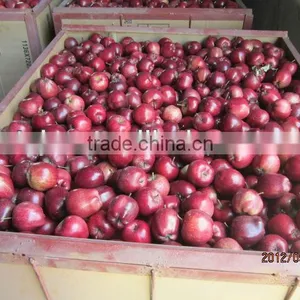 Export Huaniu Apple Company thumbnail-3