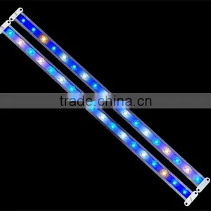 SMD5050 RGB Color Flexible Led Strip Lights 220v thumbnail-2