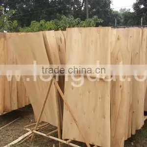 A Grade Best Price Core Veneer thumbnail-4