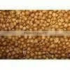 FRESH Brown Coriander Seeds thumbnail-1