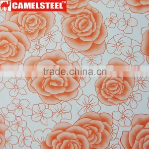 High Quality Customized Design Camelsteel Decorative Steel Coil thumbnail-3