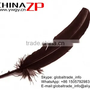 ZPDECOR Factory Wholesale in Stock Dyed Brown Solid Color Turkey Feathers for Girls thumbnail-4