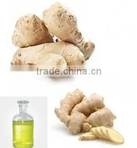 Suppliers of Bulk Ginger Oil thumbnail-1