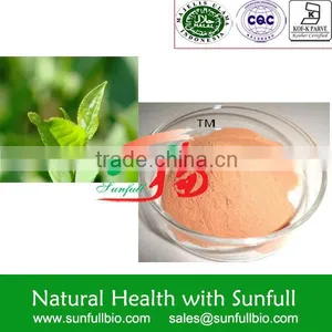 Supply 100% Natural Green Tea Extract 60% EGCG thumbnail-1