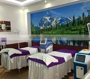 Retailer Wanted CE Approved Q Switch Brown Age Spots Removal Nd Yag Laser Machine For Tattoo Removal 532nm thumbnail-5