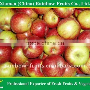 Class 1 Jiguan Apple thumbnail-1