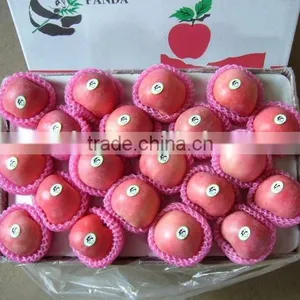 Hot Sale Fuji Apple thumbnail-3