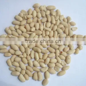 Peanut Kernel Price thumbnail-1