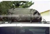 Car Roof Top Carrier thumbnail-1