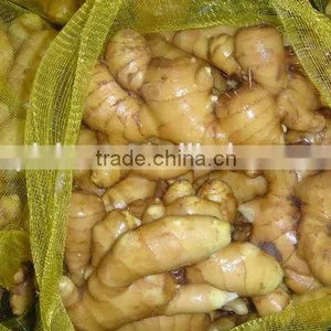 Specification Fresh Ginger thumbnail-2