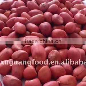 Groundnut Kernels/peanuts Kernels thumbnail-1