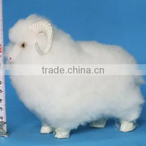Realistic Taxidermy Replica Life Sized Tiny Sheep Gifts thumbnail-3