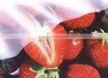 PP NON-WOVEN FABRICS FOR AGRICULTURE thumbnail-1