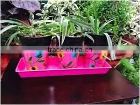 3 Planter With Tray In Pink thumbnail-1