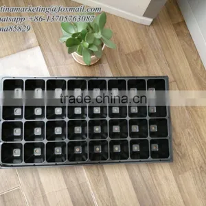 Large Cell Black PS Plastic Plug Nursery Plant Seedling Tray for Seed Propagator thumbnail-6