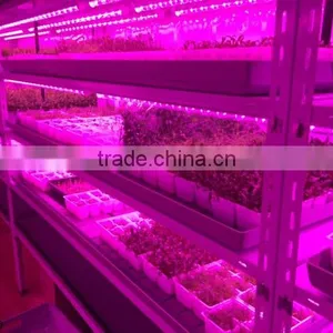 Professional Indoor Container Grow Systems, 30w 1200mm Waterproof LED Grow Bar for Leafgreen & Herb thumbnail-3