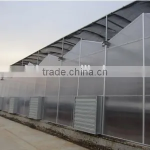 Greenhouse for Strawberry Grape Raspberry , Agricultural Green Houses thumbnail-1