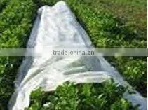 Agriculture Nonwoven Fabric to Protect Plants/ Crops thumbnail-1