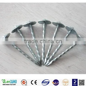 Best Price Smooth Head Screw Shank Nails thumbnail-1