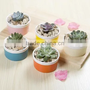 Attractive Indoor Decor Mini Bright Color Ceramic Planter thumbnail-1
