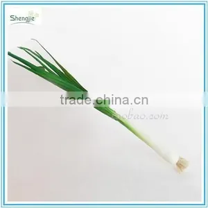 Cheap Artificial Decoration Plastic Vegetable thumbnail-2