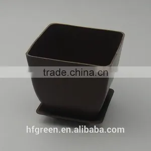 Color Biodegradable Pots With Matching Tray thumbnail-1