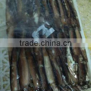 Under 150g Frozen Illex Squid for Sale thumbnail-2