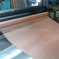 Phosphor Bronze Wire Mesh thumbnail-1