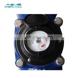 250 mm Woltman Industrial Impluse Output Resettable Water Meter thumbnail-5