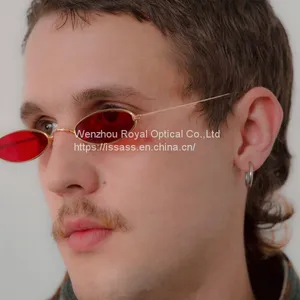 New Fashion Cat Eye Sunglasses Men/Women Ocean Lens Eyewear Metal Sun Glasses Vintage Small Oval Sun Glasses Gafas Wholesale thumbnail-1