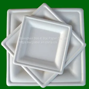 Square Plate 20x20cm Eco-friendly Compostable Plate thumbnail-1