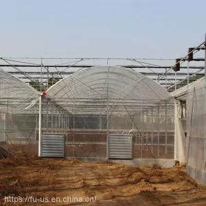 Multi Span PE Film Agricultural Greenhouse thumbnail-4