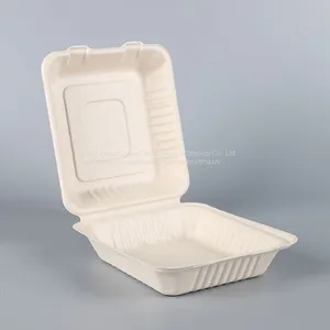Biodegradable 8*8 Take Away Sugarcane Container thumbnail-2
